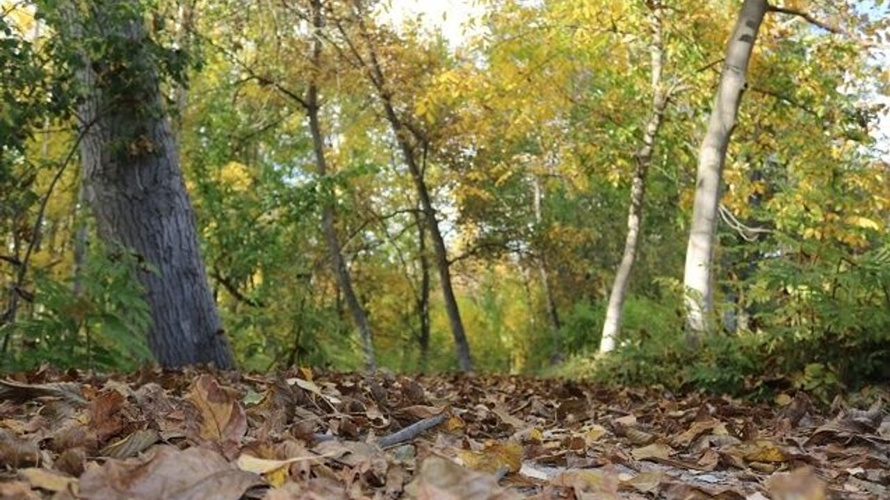 Günyüzü'nde eşsiz sonbahar manzaraları