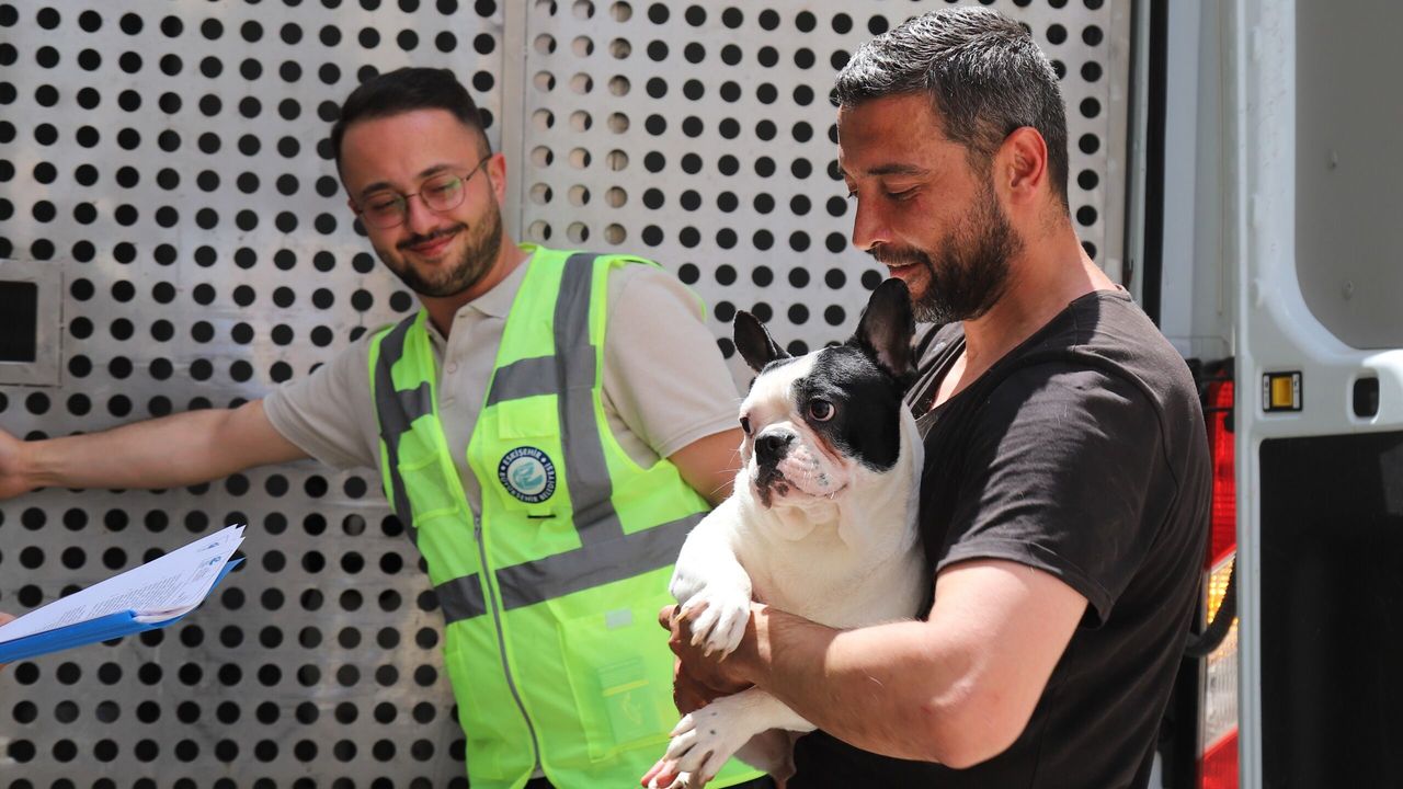 Başkan Ayşe Ünlüce Çaresiz Kalan 9 Can Dostuna Sahip Çıktı
