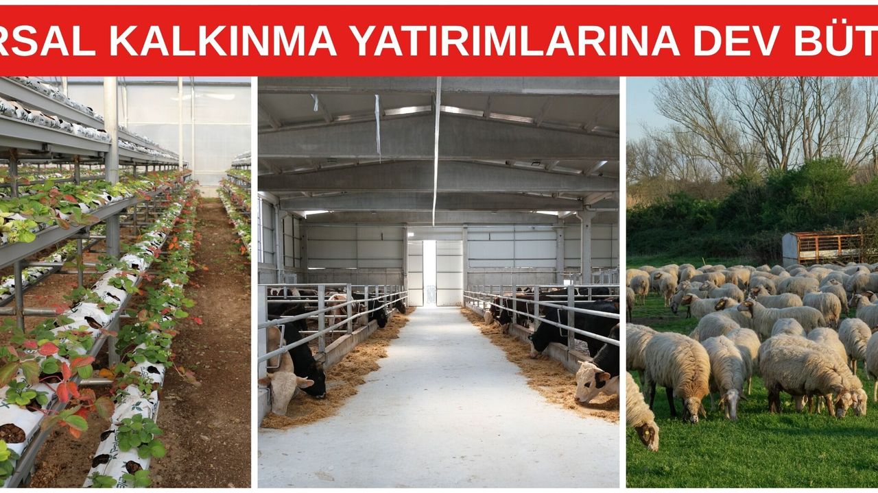 Kırsal Kalkınma Programına 10 Milyar TL Bütçe